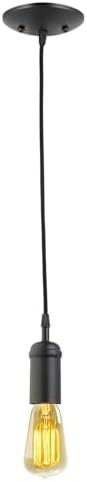 Globe Electric 64906 1-Light Pendant, Matte Black