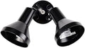Nuvo Lighting SF77/701 Two-Light Outdoor Flood Light, Black