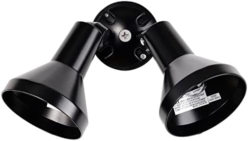 Nuvo Lighting SF77/701 Two-Light Outdoor Flood Light, Black