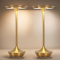 2 Pack LED Rechargeable Cordless Table Lamps, 6000mAh, Gold
