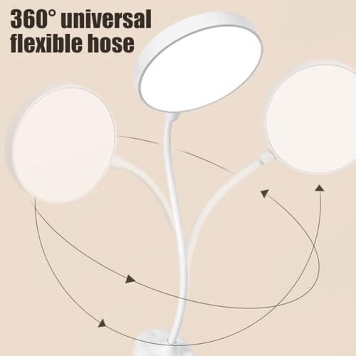 Adjustable Clamp Study Lamp, USB Rechargeable