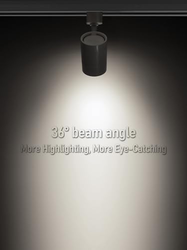 LEONLITE 4-Pack 8.5W H-Track Lighting Heads, White
