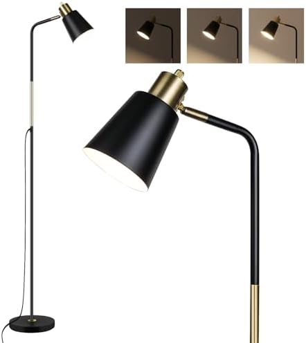 LALISU Industrial Floor Lamp