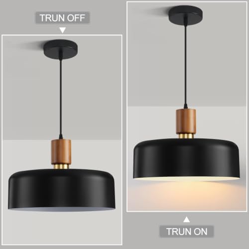 Eustace 13.8inches Oak Wood & Brass Pendant Light