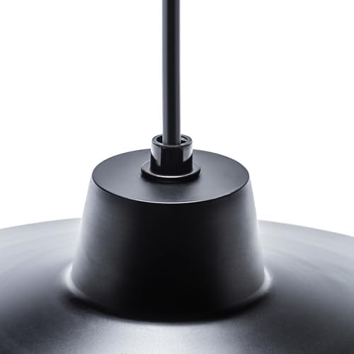 GLOBE Electric 65155 1-Light Pendant Light, Matte Black