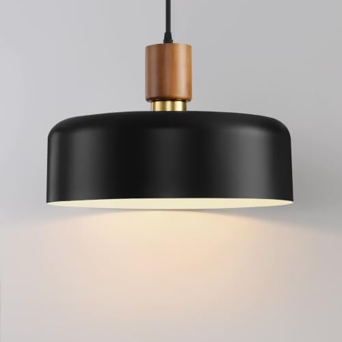 Eustace 13.8inches Oak Wood & Brass Pendant Light