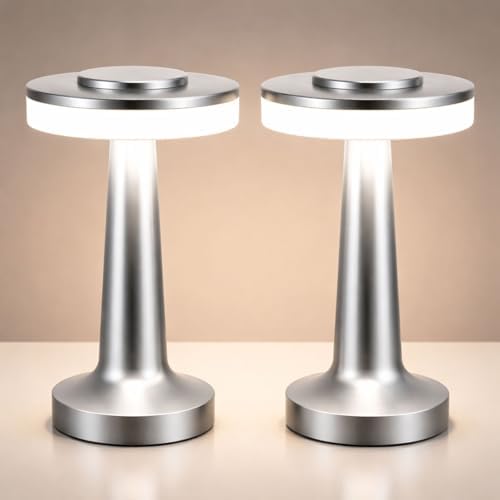 Riakrum 2 Pcs LED Cordless Rechargeable Table Lamps, Silver