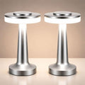 Riakrum 2 Pcs LED Cordless Rechargeable Table Lamps, Silver