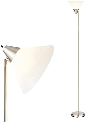 HonoDing Floor Lamp Standing Lamp Adjustable Head Arcylic Shade Floor