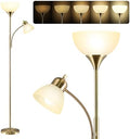 Dimmable Floor Lamp with 9W and 5W LED Bulbs