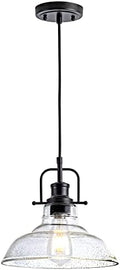 Zlepmlla Black Glass Pendant Light