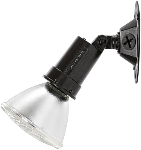 Satco SF76/521 One-Light Outdoor Flood Light, Bronze