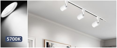 10W H Type LED Track Lighting Heads, 6-Pack