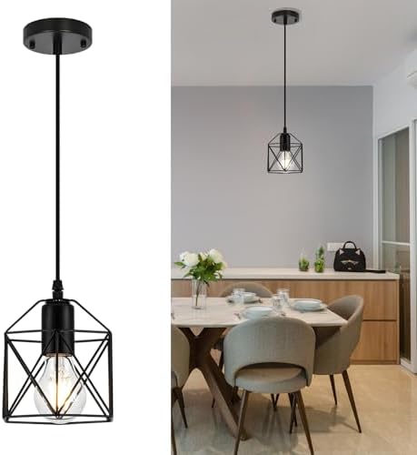 1 Light Hanging Pendant Light Fixture