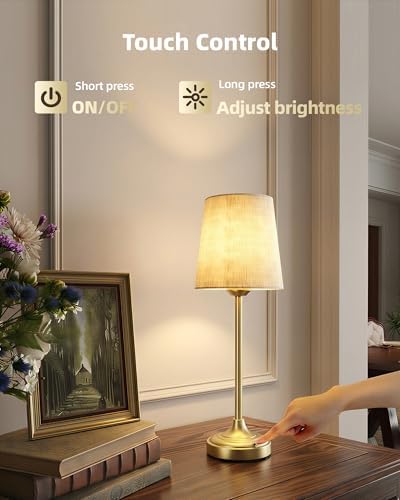 Battery Operated Lamp, 8000mAh, Ambient Light, Touch Control