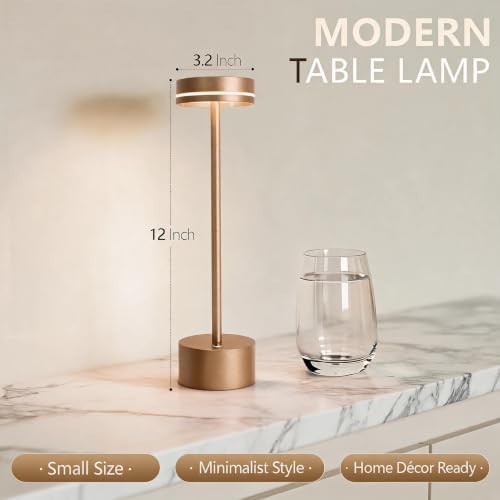 2 Pack 5000mAh Rechargeable Cordless Touch Table Lamps