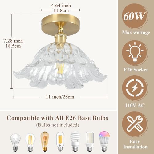 11" Vintage Transparent Semi Flush Mount Ceiling Light