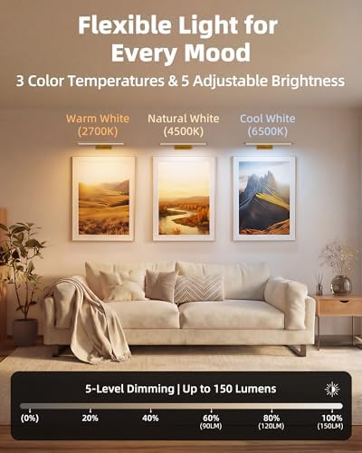 EZVALO Gold LED Picture Light, 16''