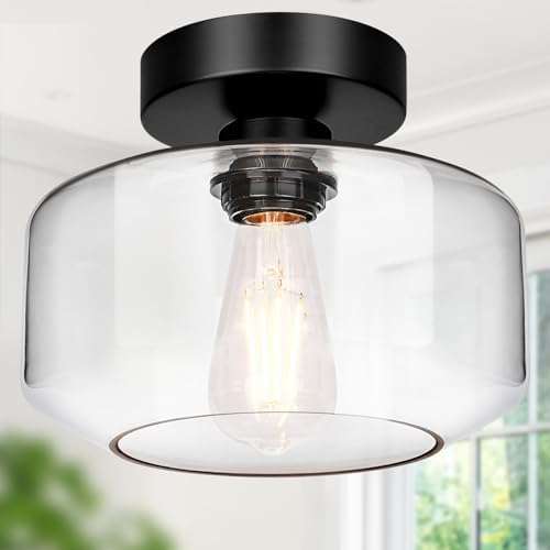 Lynnoland Black Semi Flush Mount Ceiling Light, Clear Glass Shade