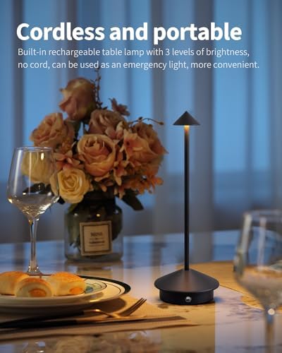 Modern Cordless Table Lamp Set of 2, Black