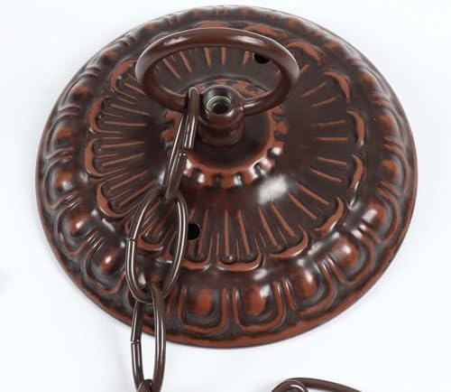 Bieye CC01 Lighting Fixture Chain and Canopy Kit