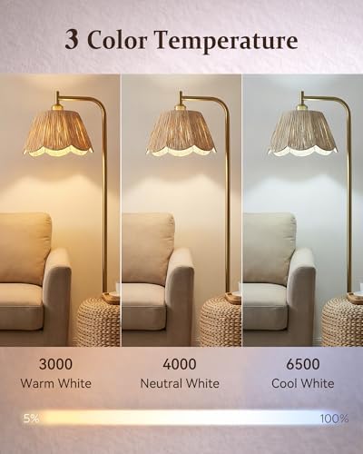 JOOFO Brushed Gold Floor Lamp with Remote
