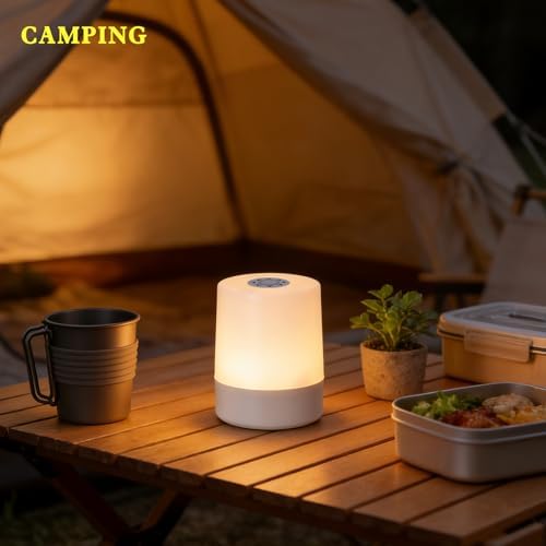 Cordless LED Desk Lamp, Touch Dimmable, USB Rechargeable