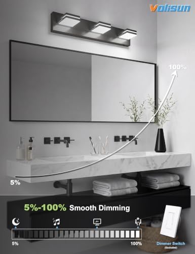 VOLISUN 3-Light 24-Inch LED Vanity Light, Black