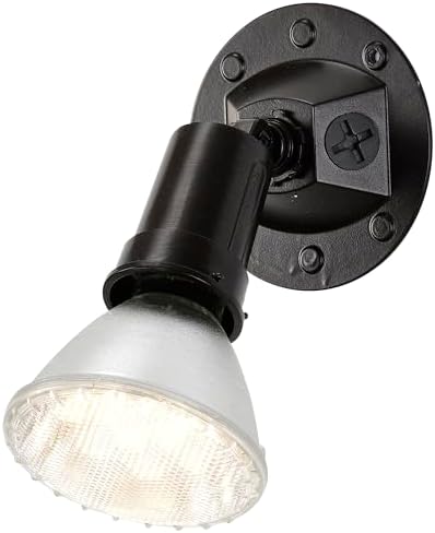 Satco SF76/521 One-Light Outdoor Flood Light, Bronze