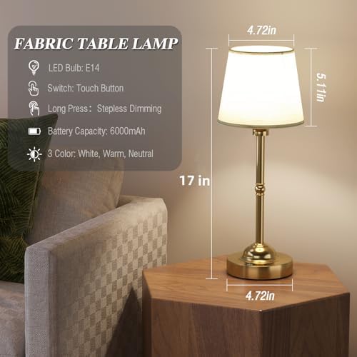 CHLORANTHUS 2 Pack Cordless Rechargeable Table Lamps