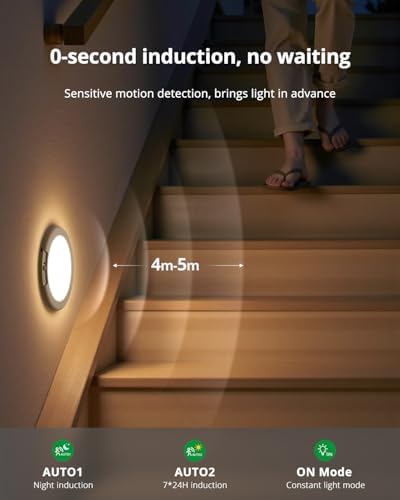 Rechargeable Motion Sensor Closet Light
