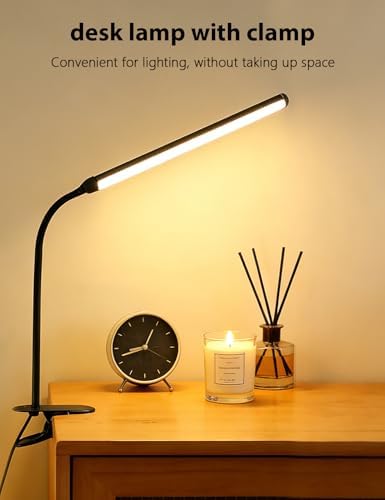 2 Pack Clip-On LED Desk Lamps, USB Powered