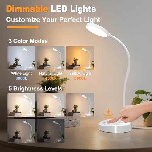 15W LED Desk Lamp with USB Charging Ports, 3 Color Temps