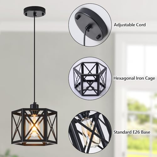 XSDeTu 2 Pack Black Farmhouse Pendant Lights
