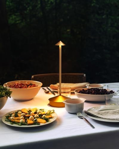 2 Pack Aluminum Cordless Table Lamps, 6000mAh, Gold
