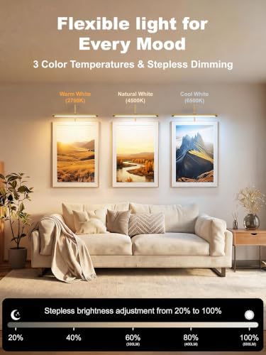 ZitoStory Dimmable Picture Light, Gold, 16 inch