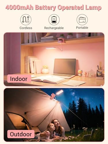 Pink Clip-on Desk Lamp, 9 Brightness, 5 Colors