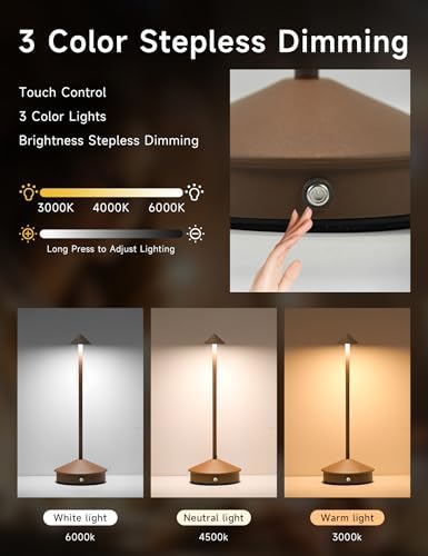 LED Rechargeable Cordless Table Lamps, Brown