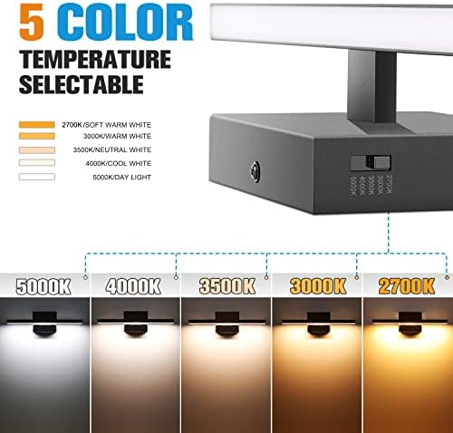 VOLISUN Bathroom Vanity Light, 15.7 Inch, Black
