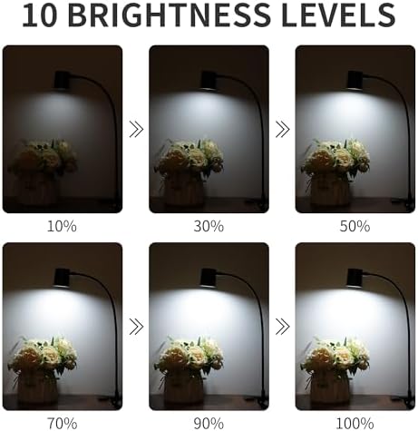 USB Clip-on Desk Lamp, Book Light for Reading