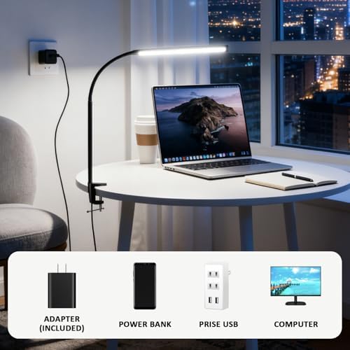 Clip-On Desk Lamp with Clamp, Dimmable Reading Light