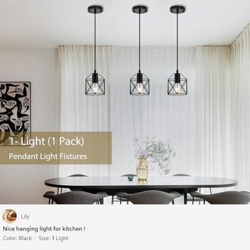 1 Light Hanging Pendant Light Fixture