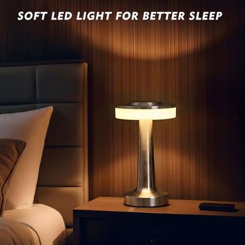 Riakrum 2 Pcs LED Cordless Rechargeable Table Lamps, Silver