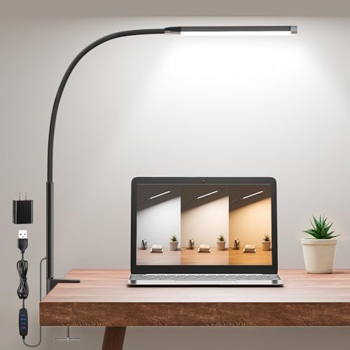 Clamp LED Desk Lamp for Home Office