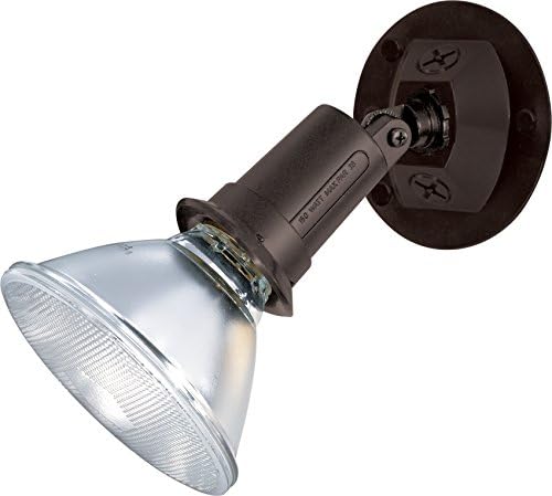 Satco SF76/521 One-Light Outdoor Flood Light, Bronze