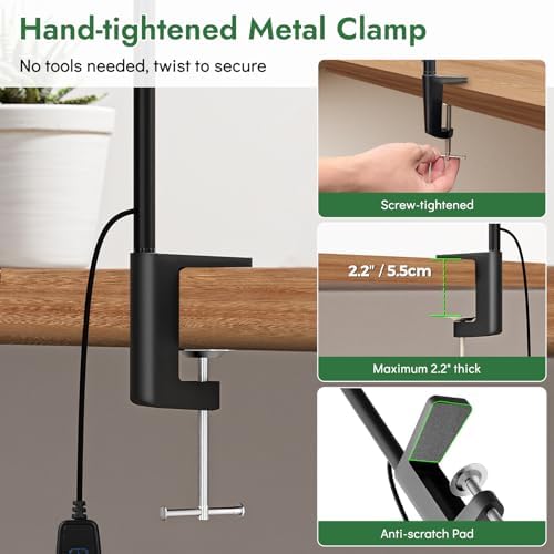 Clamp LED Desk Lamp for Home Office