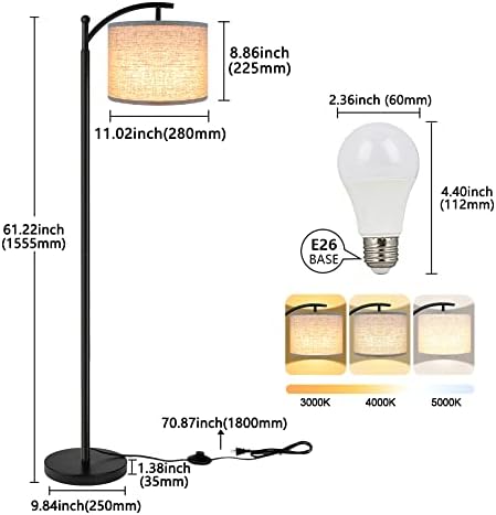 ROTTOGOON Industrial Floor Lamp, 3 Color Temperatures, Black