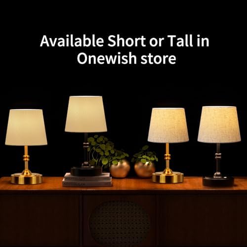 ONEWISH Gold 4000mAh Rechargeable Table Lamp