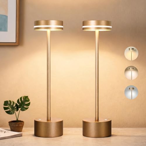 2 Pack 5000mAh Rechargeable Cordless Touch Table Lamps
