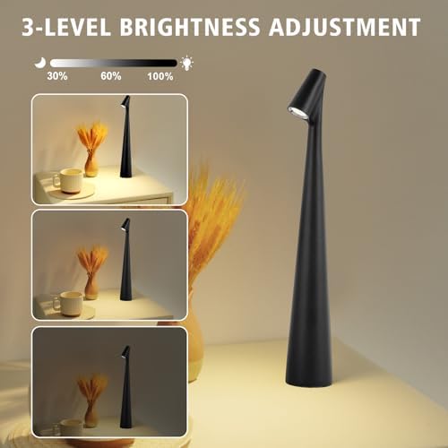 Black Set of 2 Cordless Table Lamps, Rechargeable